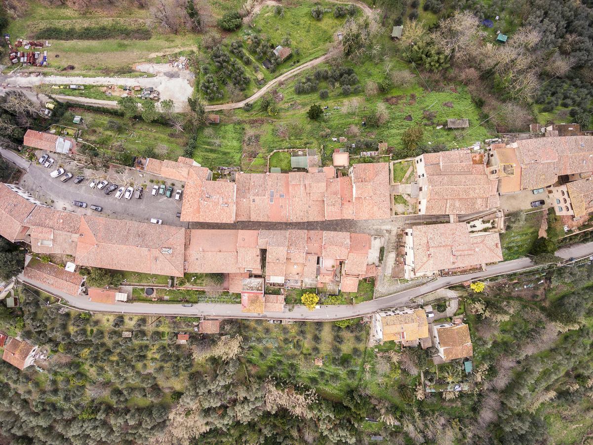 Le 3 Rane B&B Treggiaia Esterno foto